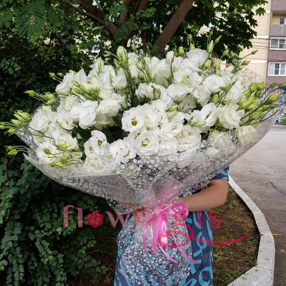 Белые эустомы